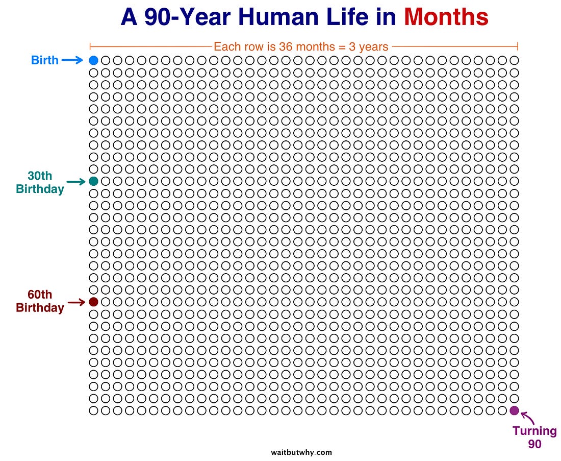 A Human Life in Months